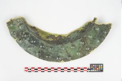 Foto von Bronzebreitrandschale (NHMW-PRAE-025984)